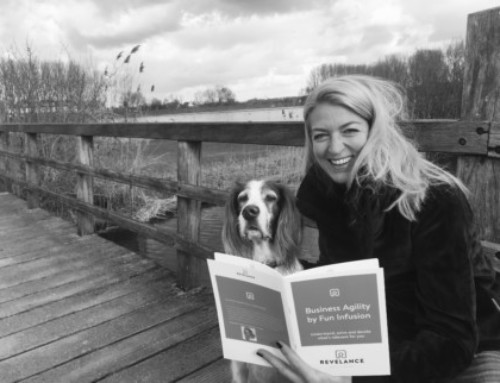 Business Agility by Serious Fun Infusion – An inspiring booklet