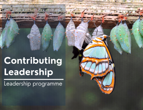 Unleashing the Power of Contributing Leadership: Empowering Agile and Dynamic Organisations