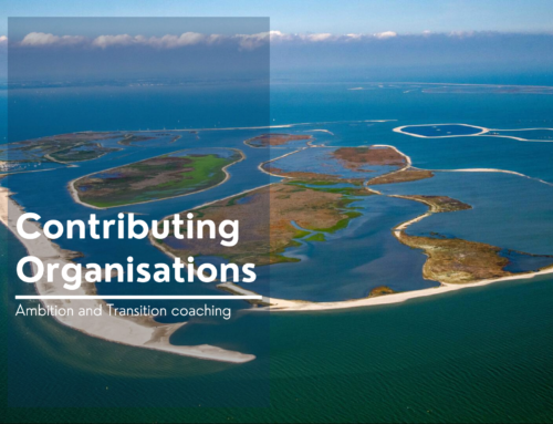 Empowering Contributing Organisations: Building Dynamic and Agile Organizations for Positive Impact on People, Society, and the Environment